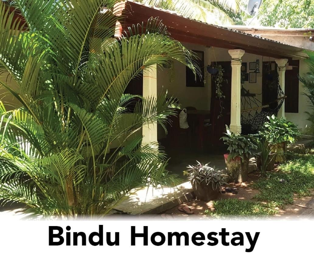 Bindu Homestay Wellawaya Exterior photo